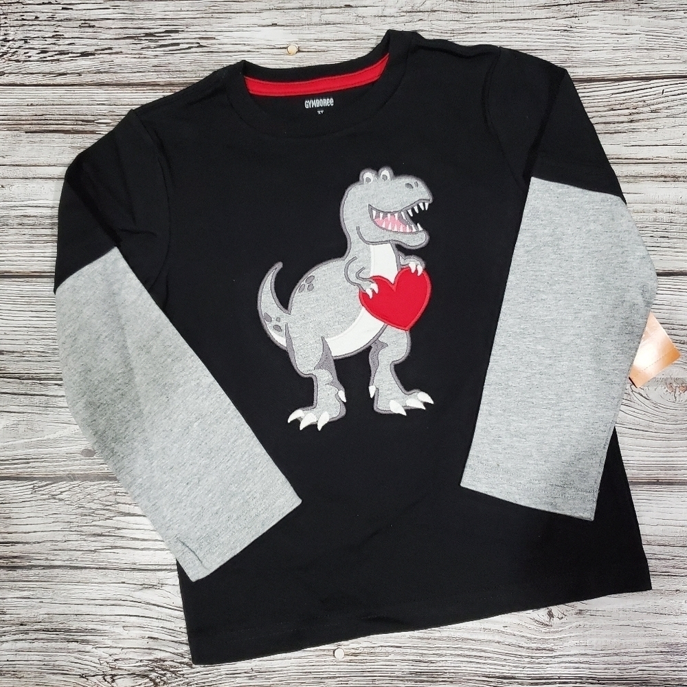 Valentine's Day Top Gymboree NWT - Picture 1 of 4